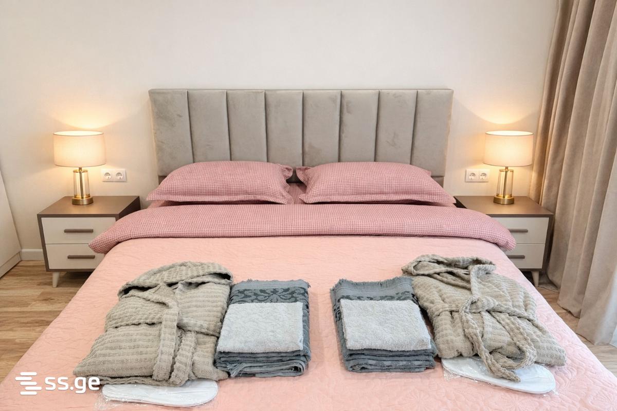 2 room Flat Daily rent. Isani - Ansicht 3