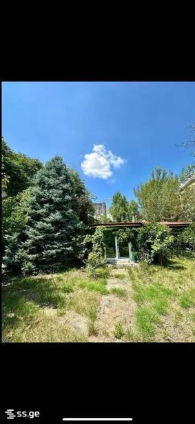 https://static.ss.ge/20260424/11_a4571b6d-1596-4305-916c-870d64a282c5_Thumb.jpg