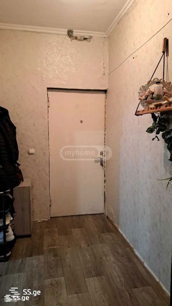 https://static.ss.ge/20260424/11_ed1b49af-54e7-403a-9033-1ad6870a918d_Thumb.jpg