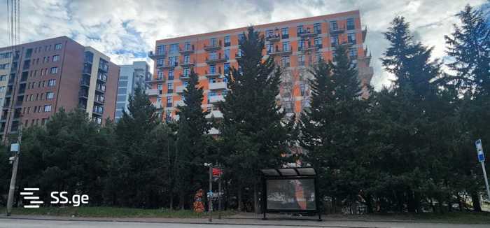 https://static.ss.ge/20260424/17_0cce9880-c957-4c1f-8d8c-8d0f45b362a9_Thumb.jpg