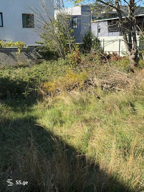 https://static.ss.ge/20260424/3_b568967c-3755-451e-aadb-6e89637ef882_Thumb.jpg