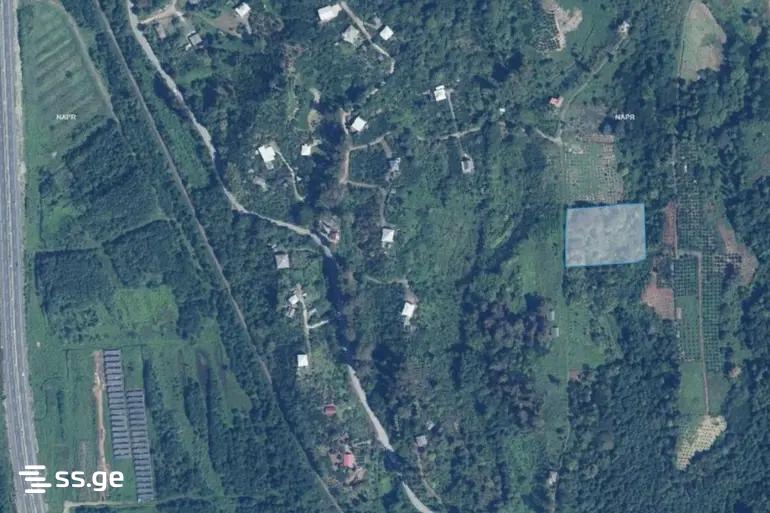 Land For Sale. Shekvetili view 1