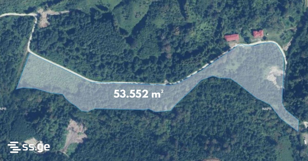 Agricultural Plot For Sale In Ureki, In Ozurgeti Municipality view 17