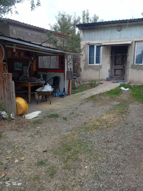 https://static.ss.ge/20260425/10_4cfda6a7-f685-463b-8571-b61208a2d612_Thumb.jpg