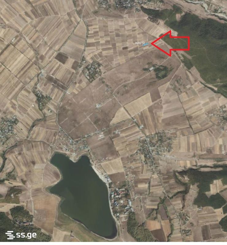 Land For Sale. Bazaleti view 1