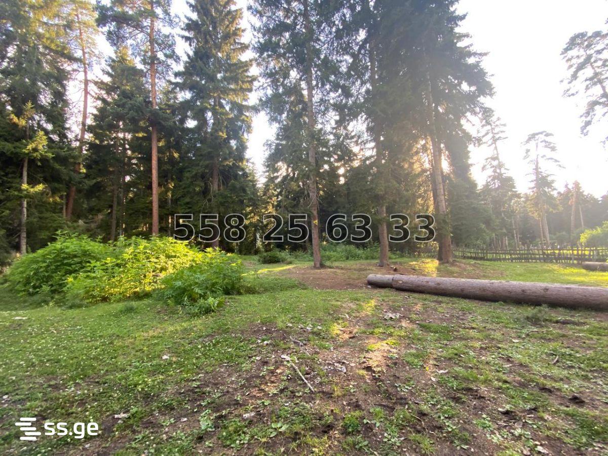 For Sale 1 Room Apartment Borjomshi view 12