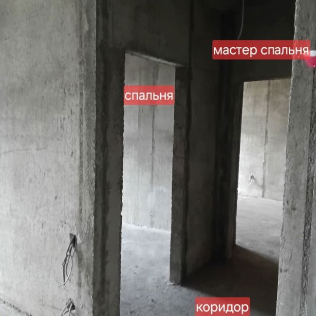 https://static.ss.ge/20260425/4_dd37a83a-c0de-4df3-a0fb-3663ab2039ab_Thumb.jpg