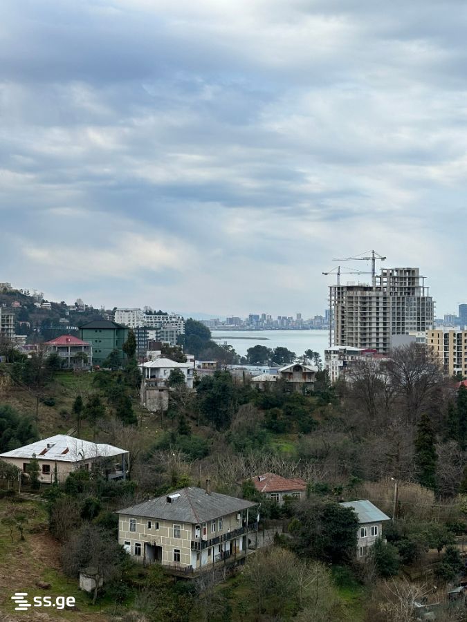 Hotel For Sale. Makhindjauri view 1
