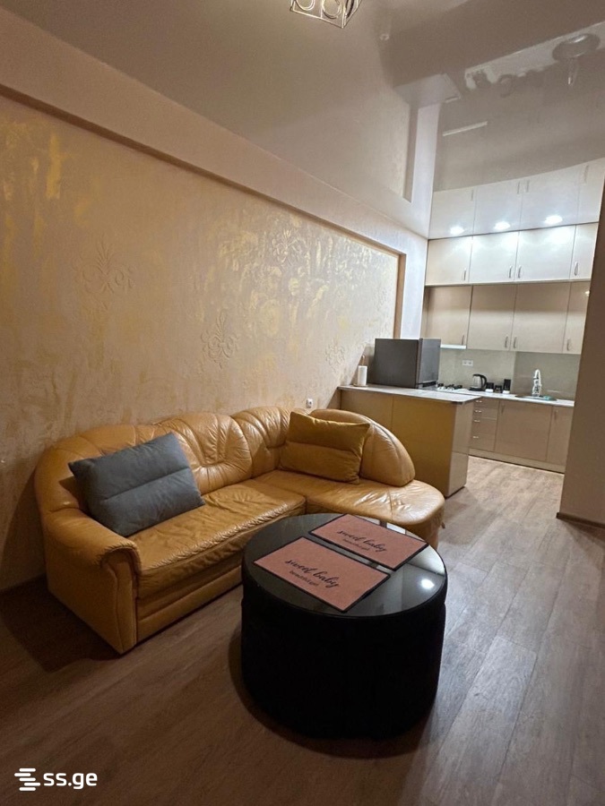 2 Room Flat Daily Rent. Didi Digomi, 3 of 8