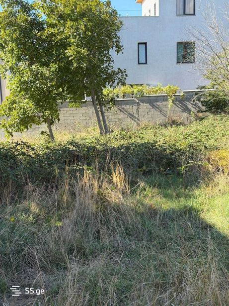 https://static.ss.ge/20260426/1_7fb3c885-4c7e-4615-ba0f-4d77474feb79_Thumb.jpg