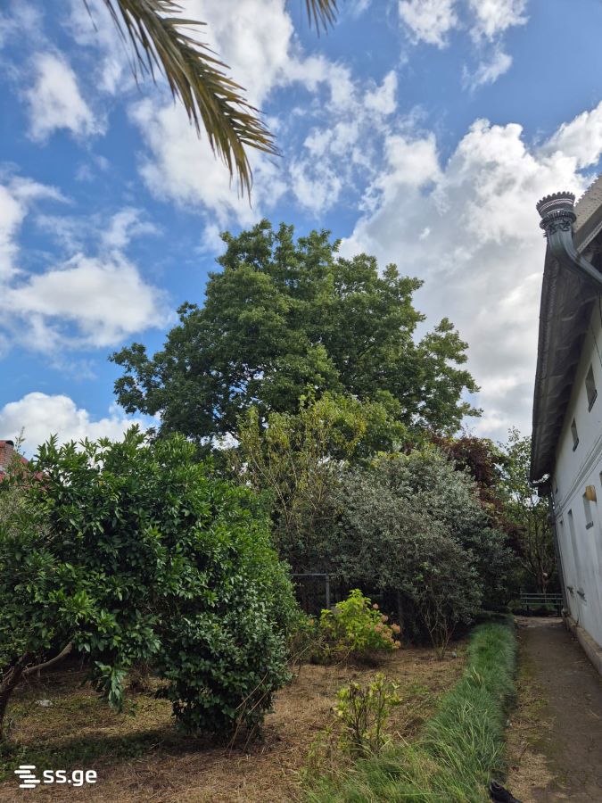 5 Room Private House For Sale view 5