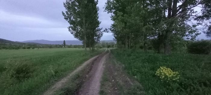 https://static.ss.ge/20260427/0_69144f9d-b215-4aa3-a754-6449320d7400_Thumb.jpg