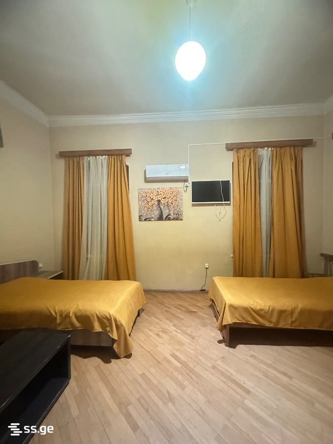 6 Room Flat Daily Rent. Telavi view 2