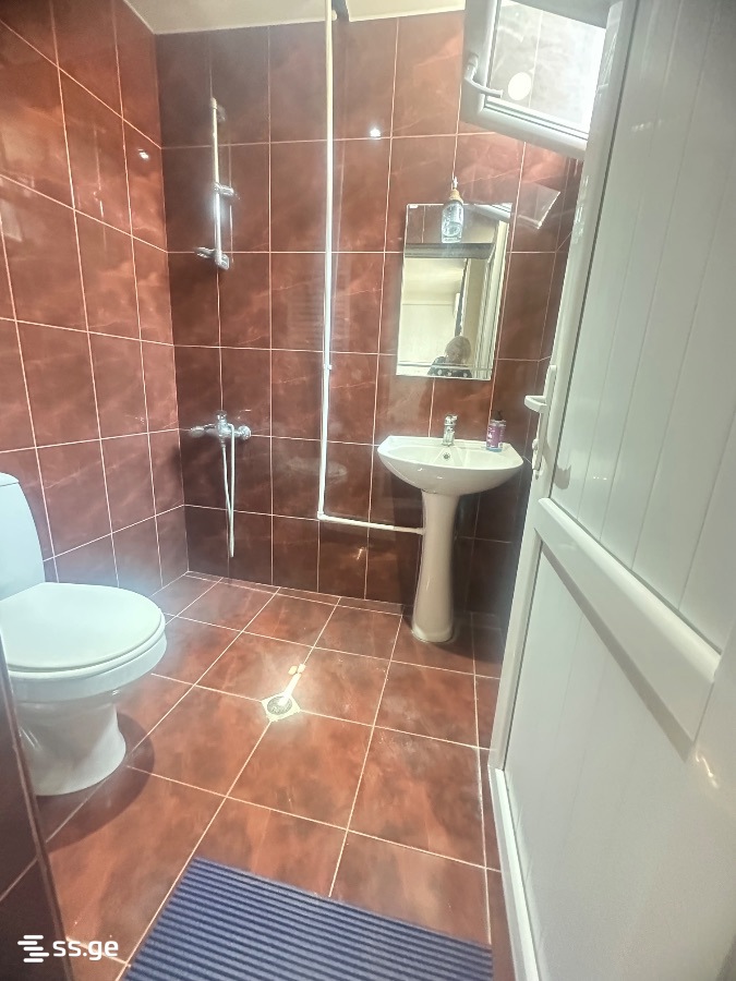 6 Room Flat Daily Rent. Telavi view 7