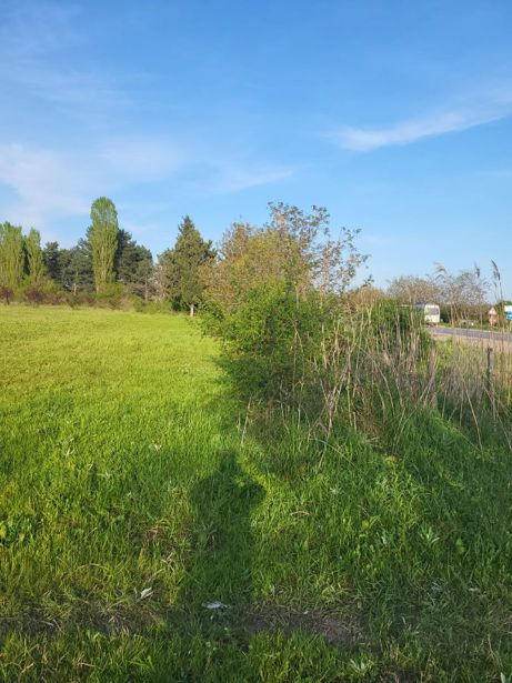 Land For Sale. Arashenda