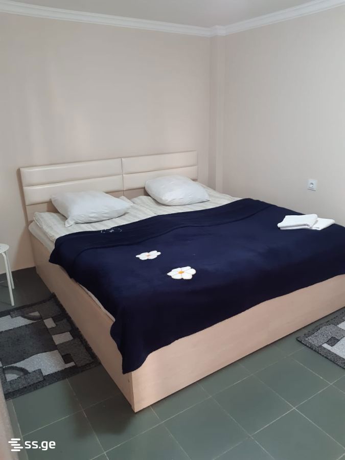 1 Room Flat Daily Rent. Mtatsminda view 1