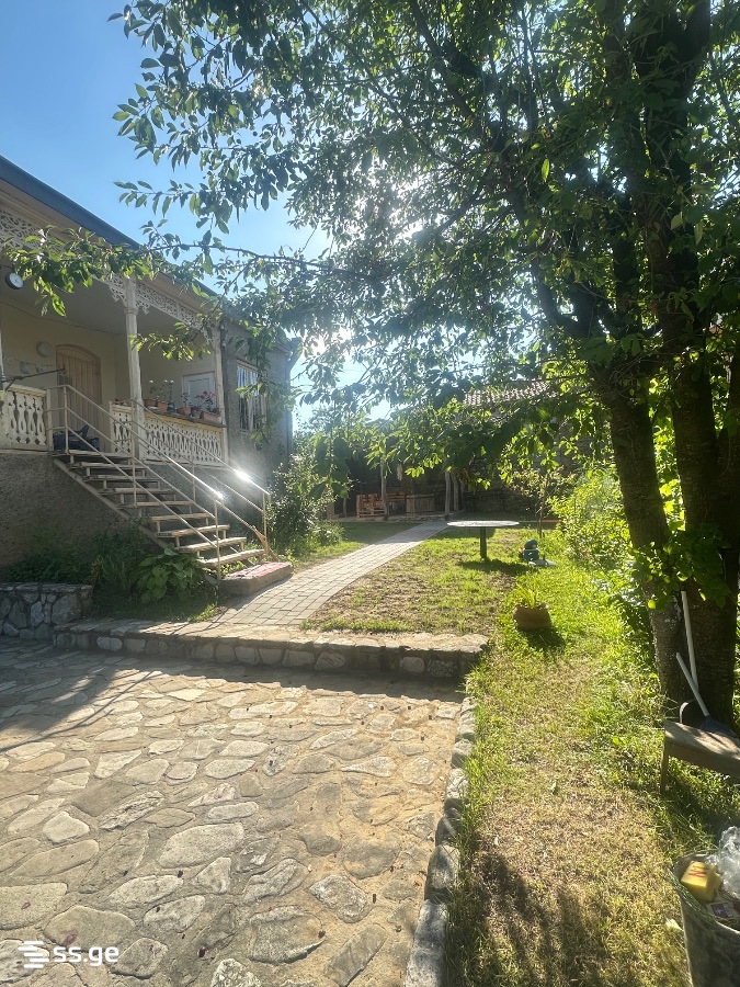 6 Room Flat Daily Rent. Telavi view 12