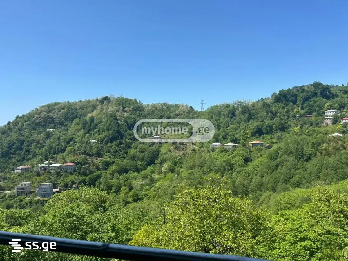 3 Room Private House Daily Rent. Batumi view 6