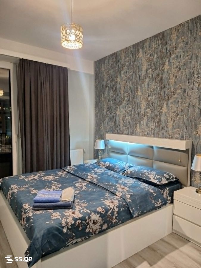 2 room Flat Daily rent. Isani – pohled 3