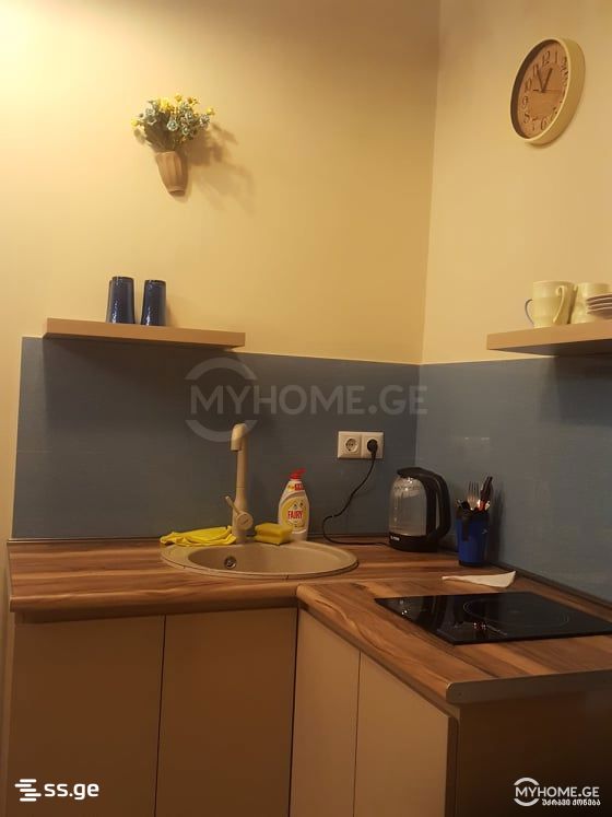 1 Room Flat Daily Rent. Avlabari view 6