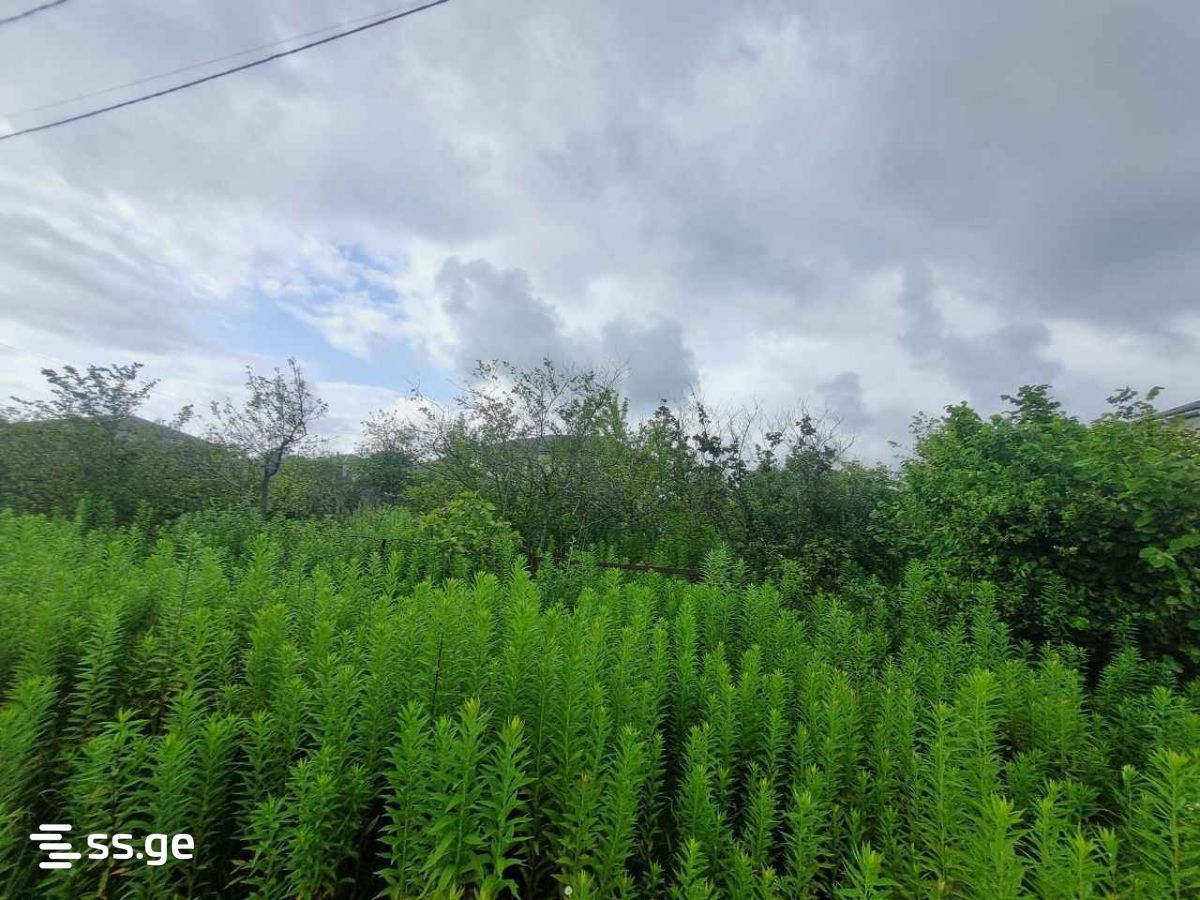Land For Sale. Poti view 2