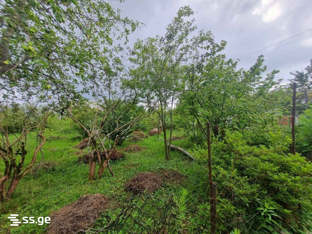 Land For Sale. Poti view 9