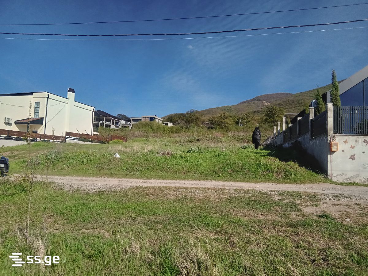 Land For Sale. Saguramo view 4
