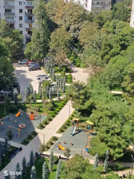 https://static.ss.ge/20260428/13_4e0915e8-490a-4c00-b4d7-2e76b4a80299_Thumb.jpg