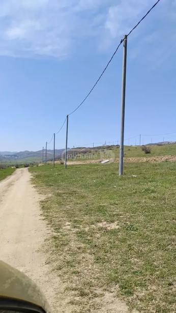 https://static.ss.ge/20260428/17_4c6ffa0c-9c62-445e-8475-8493abef33a9_Thumb.jpg