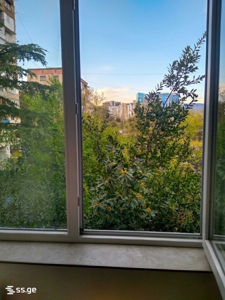 https://static.ss.ge/20260428/19_a28ac76c-69b1-409c-be28-6b007a85d217_Thumb.jpg