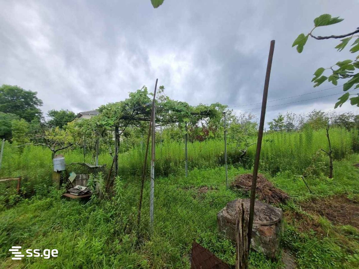 Land For Sale. Poti view 8