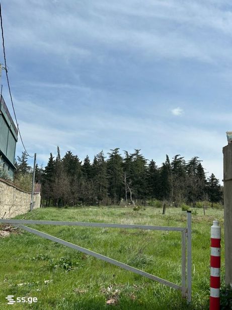 https://static.ss.ge/20260428/2_1c70b895-da93-48e8-94ff-0312e7d663c6_Thumb.jpg