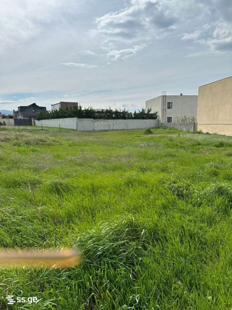 https://static.ss.ge/20260428/4_7f2a1974-6995-405c-b90b-7840b62f0166_Thumb.jpg