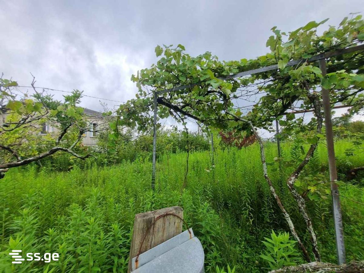 Land For Sale. Poti view 4