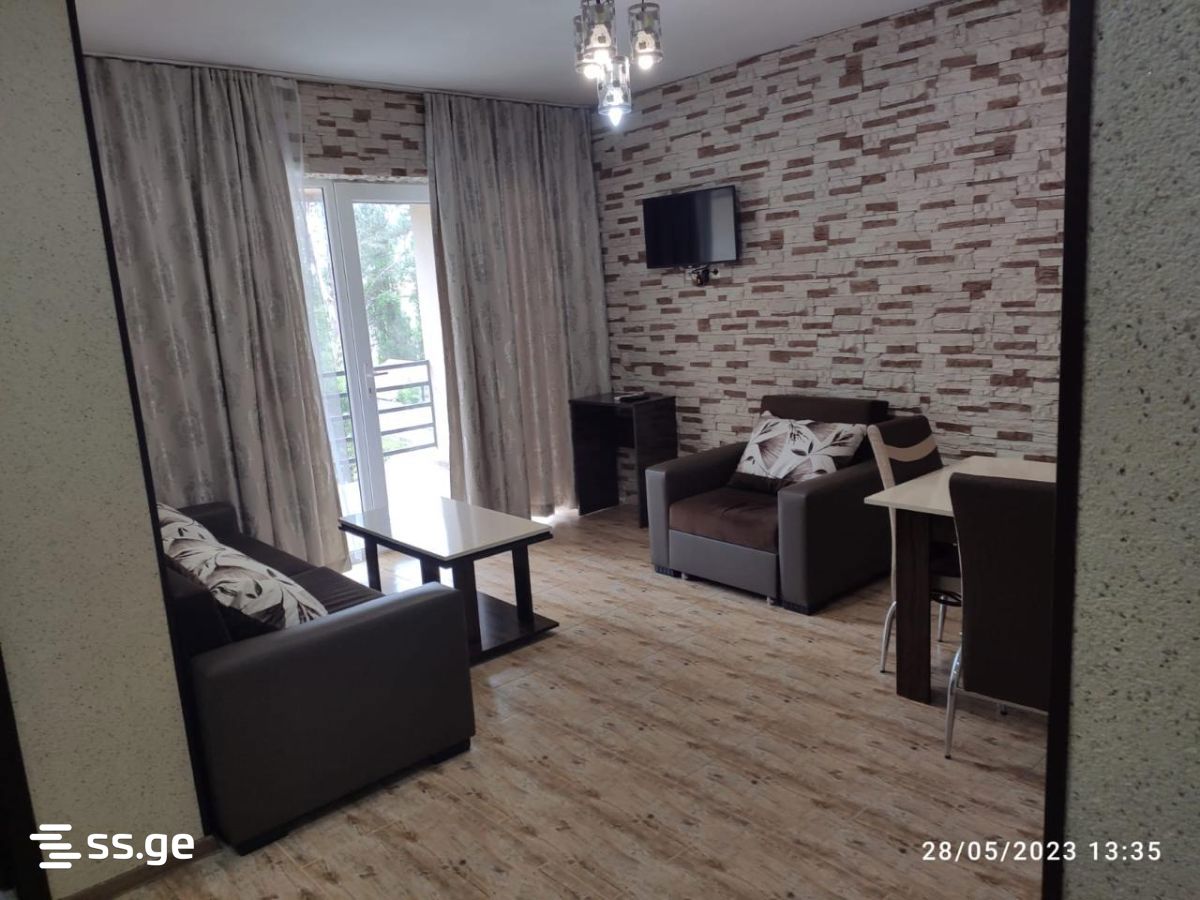 Hotel For Sale. Shekvetili view 13