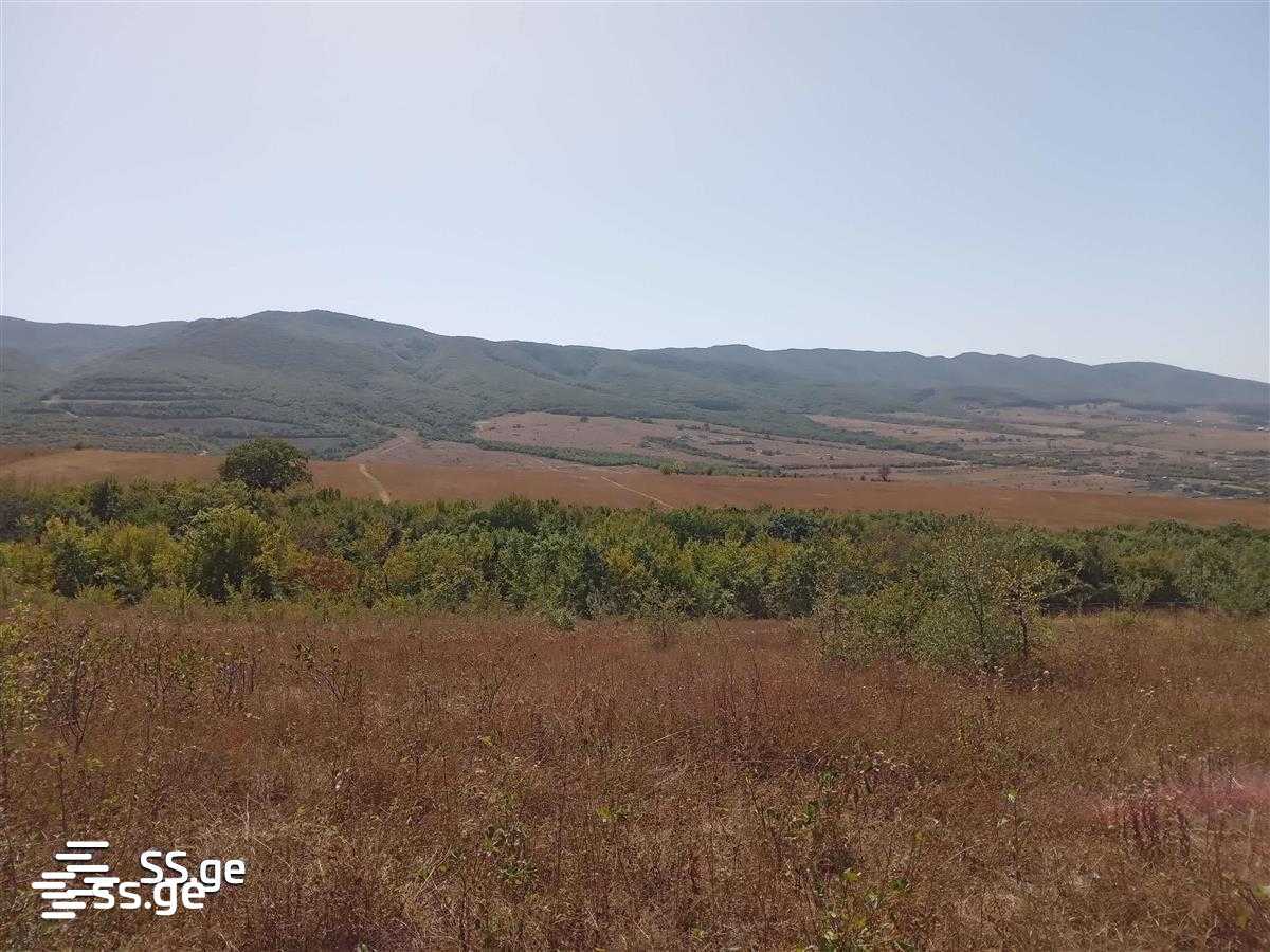 Аренда Земельный участок. Плато Нуцубидзе  - картинка #5