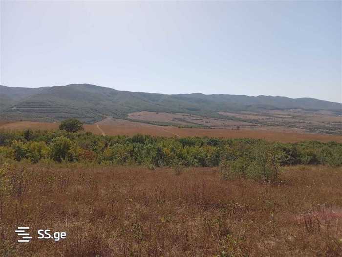 Аренда Земельный участок. Плато Нуцубидзе  - картинка #5