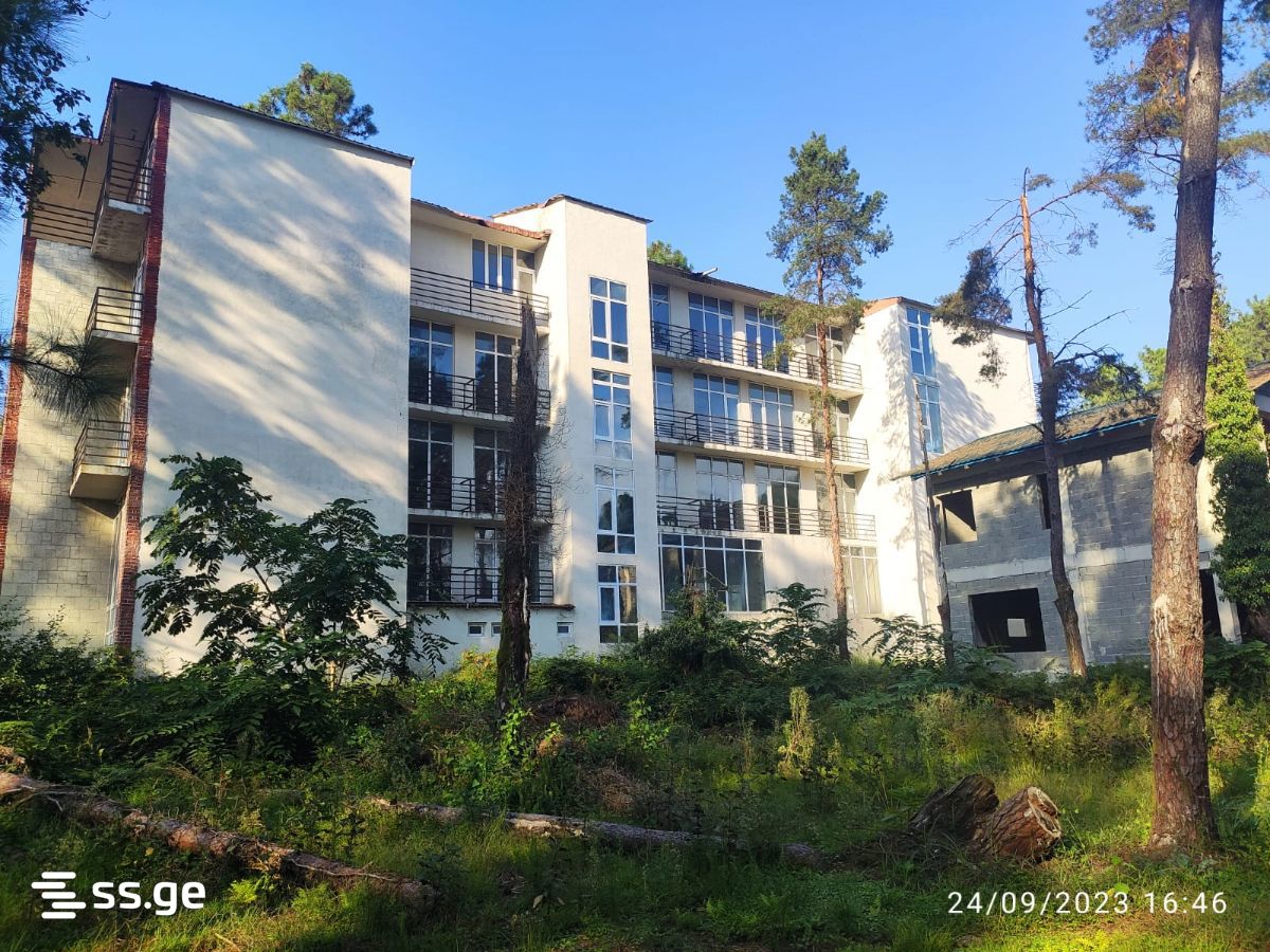 Hotel For Sale. Shekvetili view 6