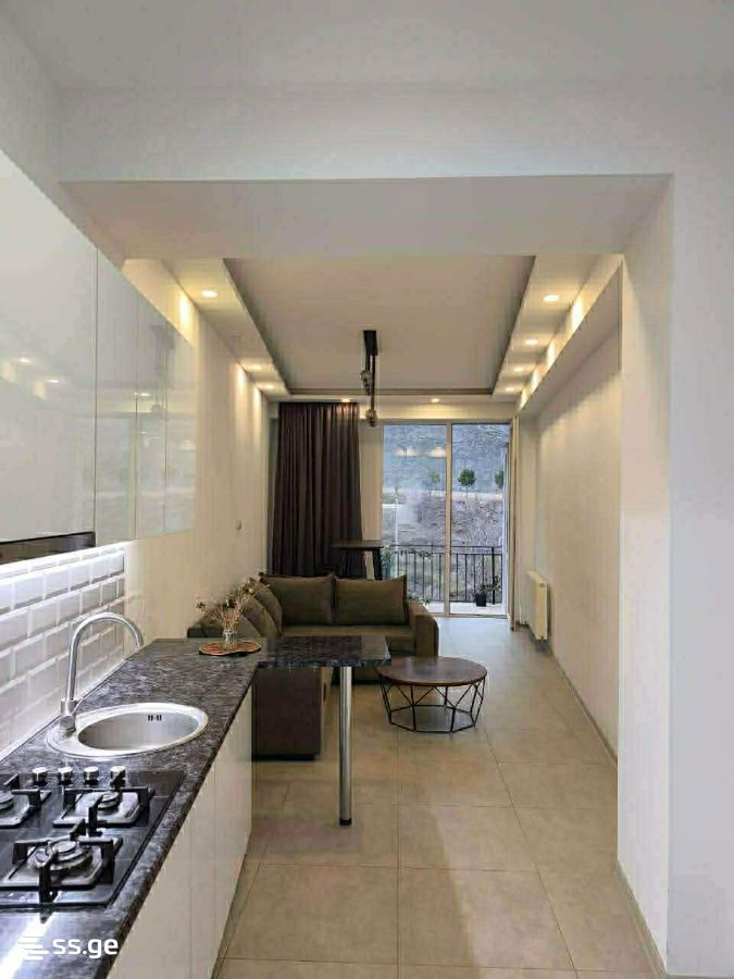2 room Flat For Rent. Vake - Ansicht 2
