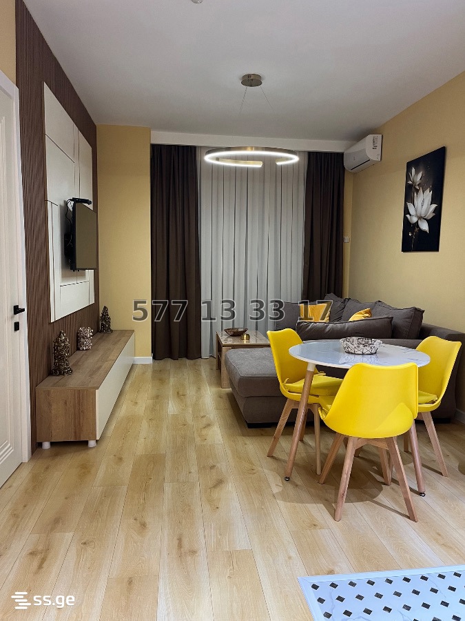 2 Room Flat Daily Rent. Tsikhisdziri view 13