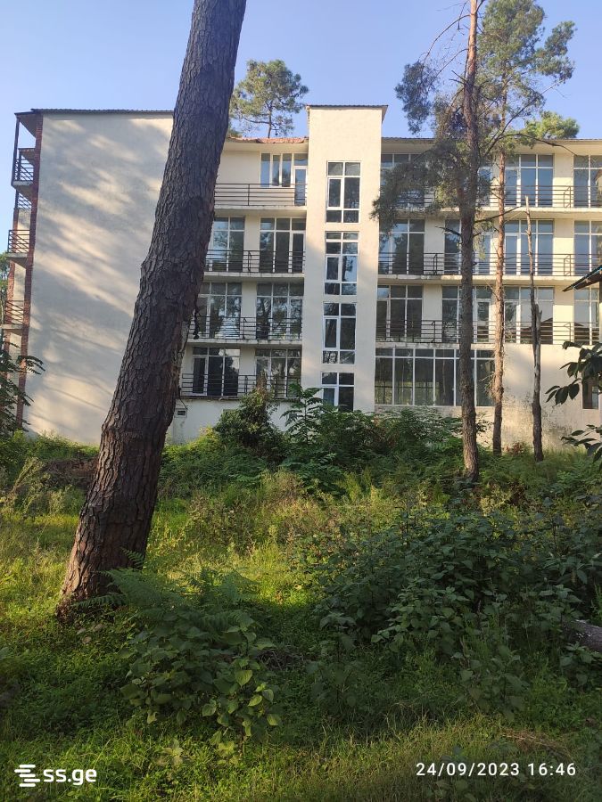Hotel For Sale. Shekvetili view 1