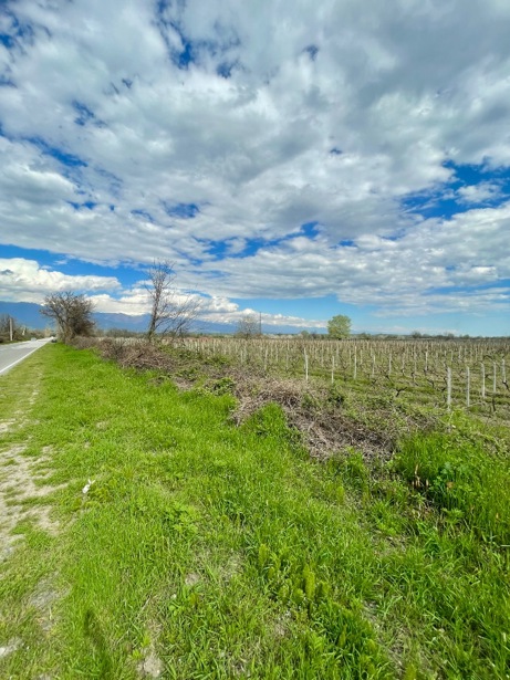 https://static.ss.ge/20260429/17_0cdafa56-7491-47f8-8ad6-2ec7ffc5e283_Thumb.jpg