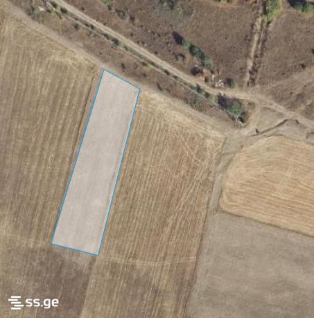 Продажа Земля в базалети view 1