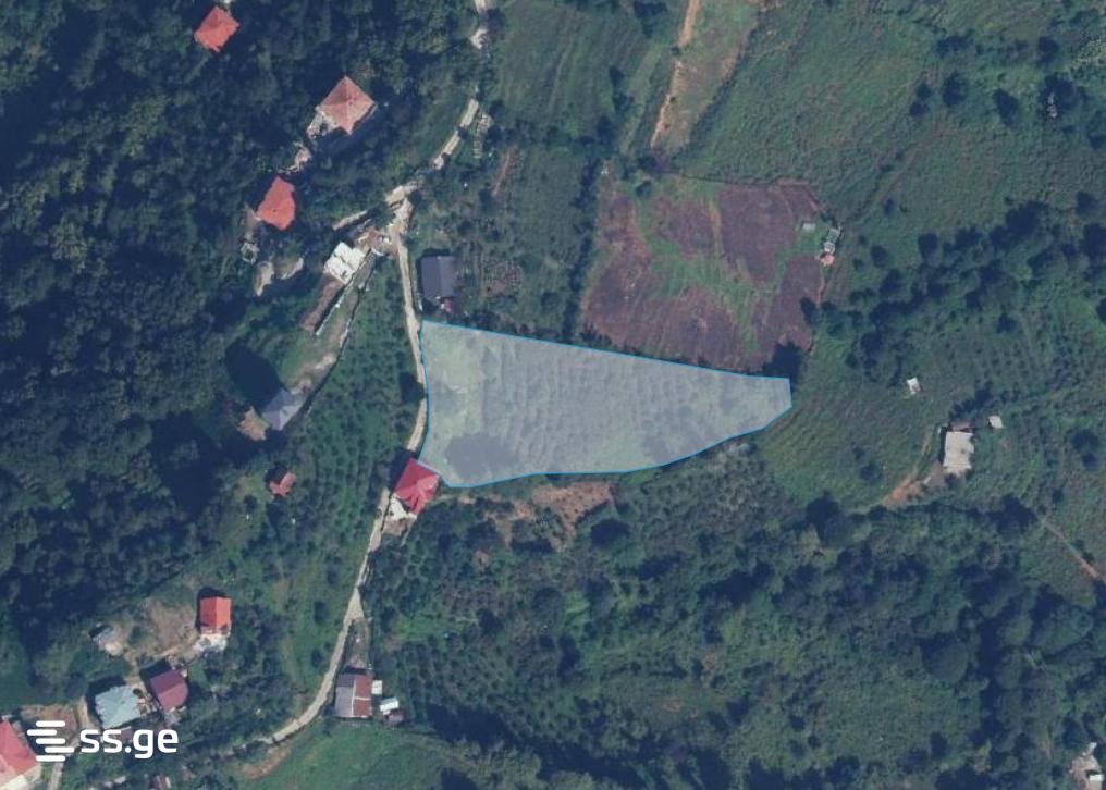 Land For Sale. Batumi view 1