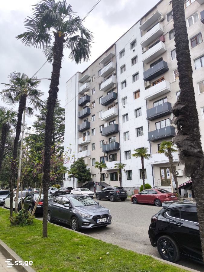 3 Room Flat For Rent. Zugdidi view 15