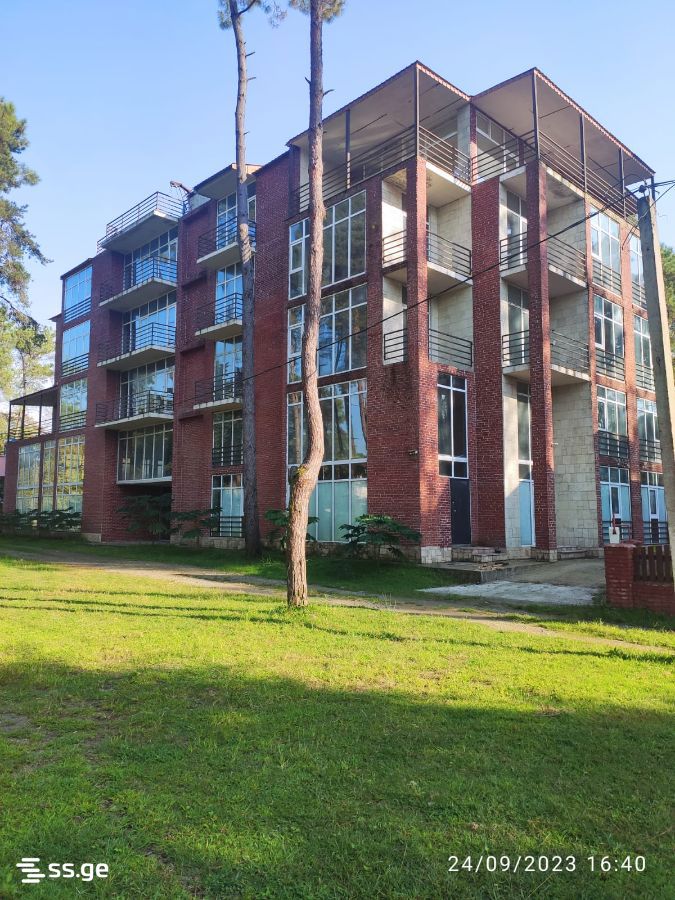 Hotel For Sale. Shekvetili view 9