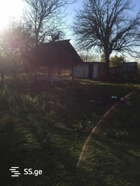 https://static.ss.ge/20260429/1_cf0308eb-92a2-4680-ab5c-a768c44528e7_Thumb.jpg