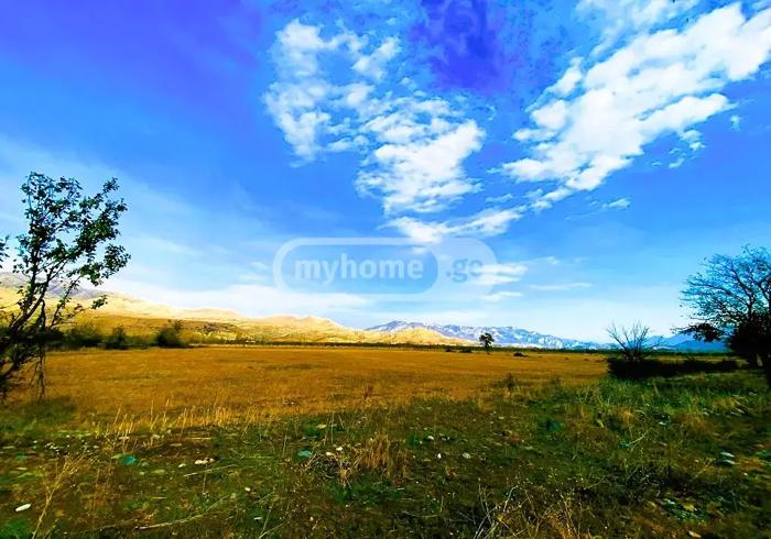 https://static.ss.ge/20260429/5_a27cbe75-015f-49db-b2d9-e731745c2273_Thumb.jpg