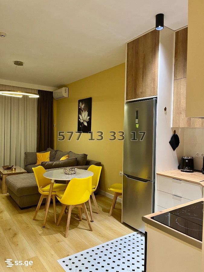 2 Room Flat Daily Rent. Tsikhisdziri view 12