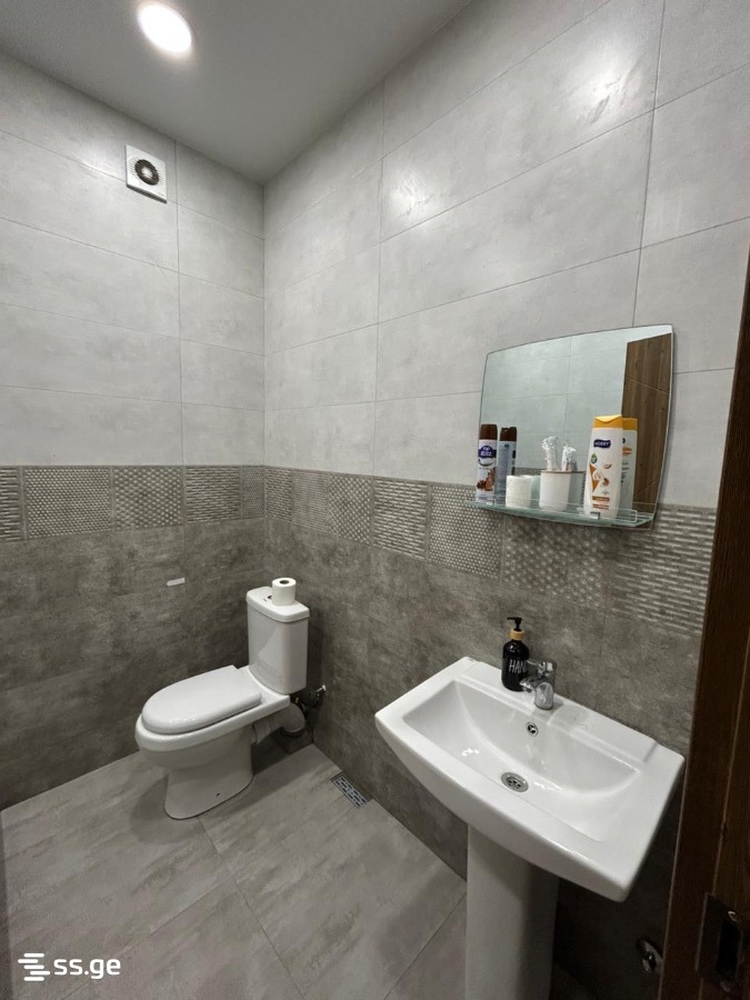 2 Room Flat Daily Rent. Didi Digomi, 7 of 8